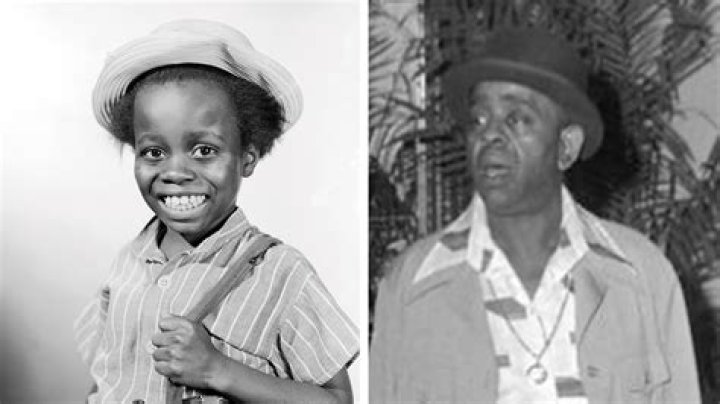 Buckwheat Character: Unveiling the Depths of a Unique Persona