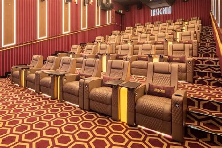 Hailey Orona Phone Number, WhatsApp Number Contact Number Mobile