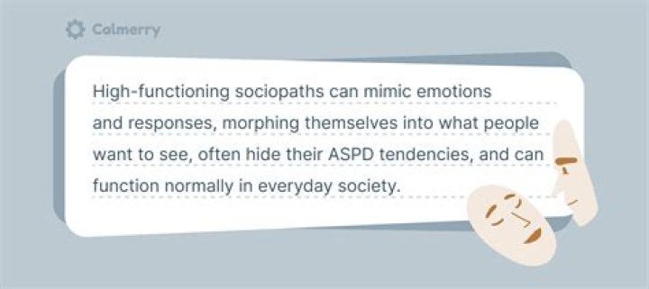 High-Functioning Sociopath: Understanding the Phenomenon and Its Implications