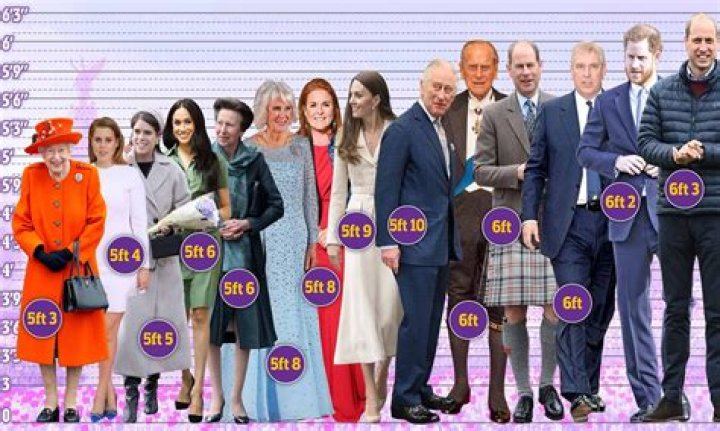 How Tall Is Prince: A Comprehensive Guide to Understanding the Iconic Musician's Height