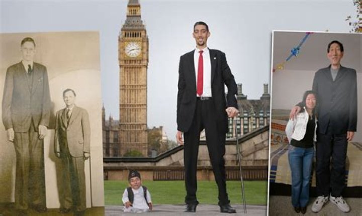 How Tall Is the Tallest Person in the World? Discovering the Giants of Humanity