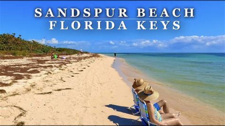 Sandspur Carolina Beach: A Hidden Gem for Your Next Seaside Getaway