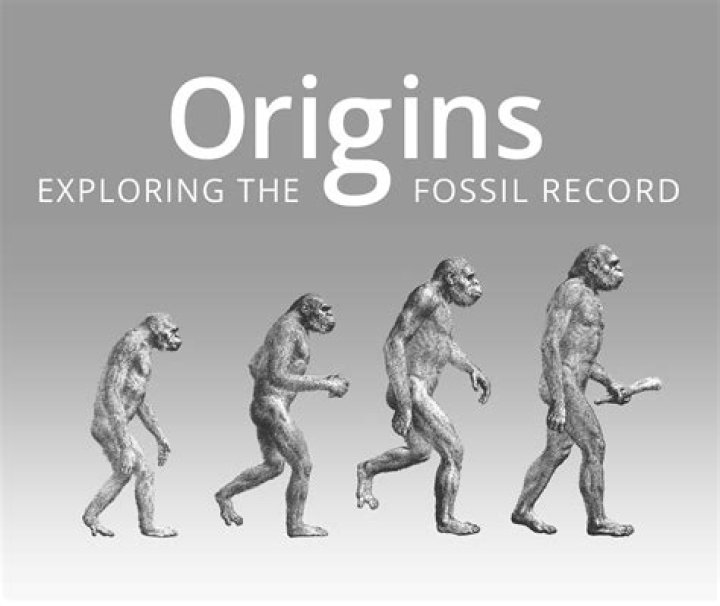 Shocked Miles Meme: The Ultimate Guide to Understanding Its Origins, Evolution, and Cultural Impact