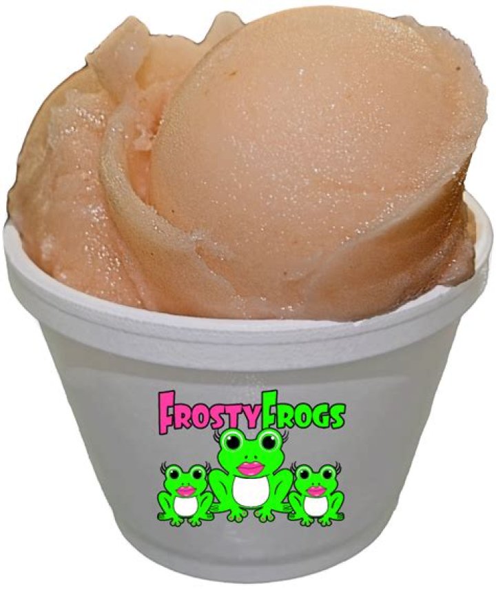 The Frosty Frog Menu: A Comprehensive Guide to Their Icy Treats