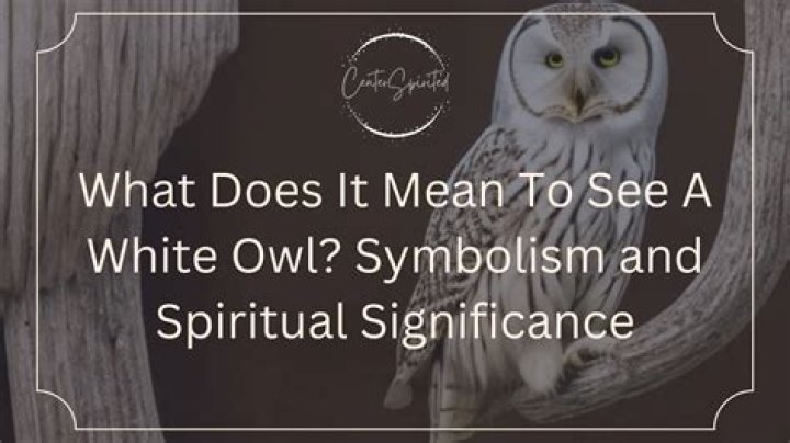 White Owl Symbolism: Understanding the Mystical Meaning and Spiritual Significance