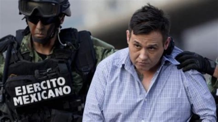 Who Is the Leader of Mexico: A Comprehensive Guide